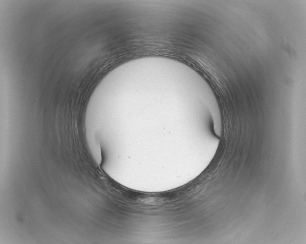 X0000114510221200911301155