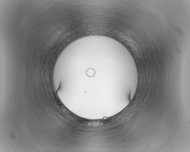 X0000114510225200911301155