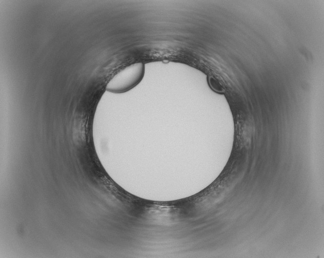 X0000114510227200911301155