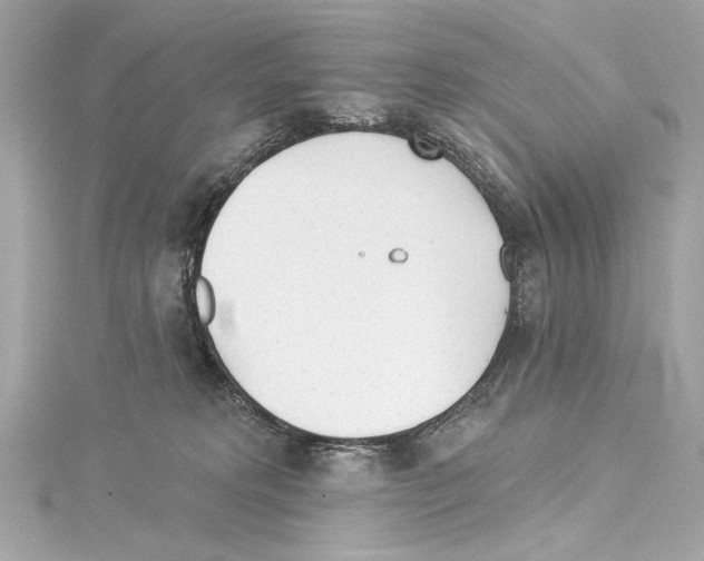 X0000114510229200911301155