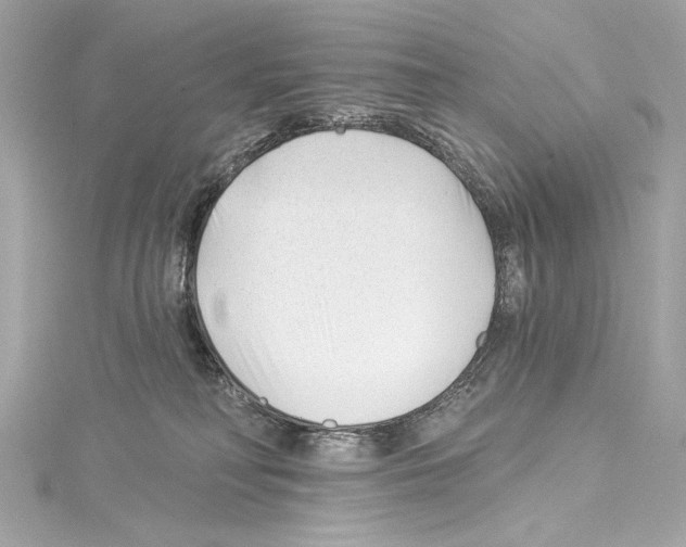 X0000114510230200911301155