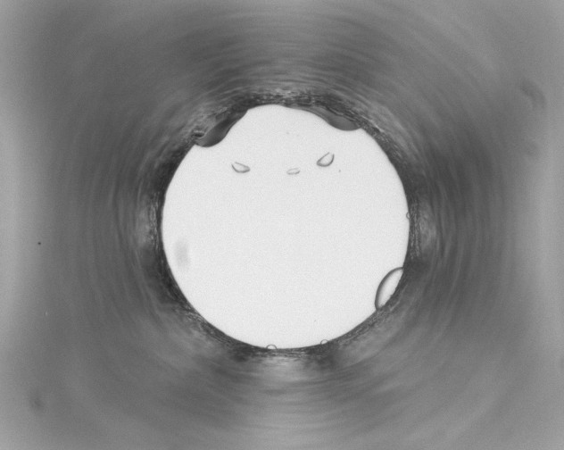 X0000114510236200911301155