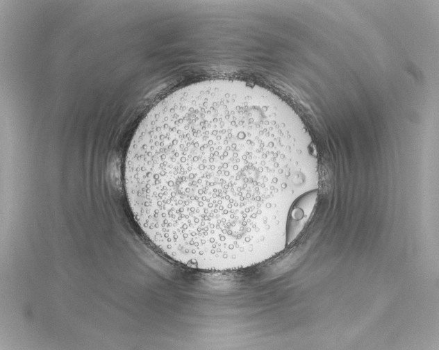 X0000114510238200911301155