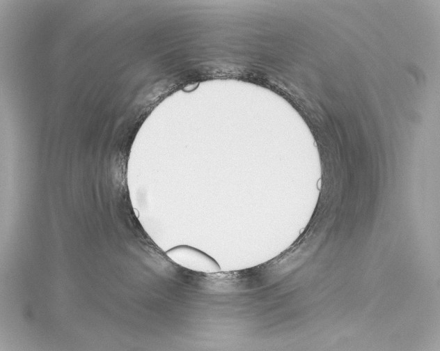 X0000114510240200911301155