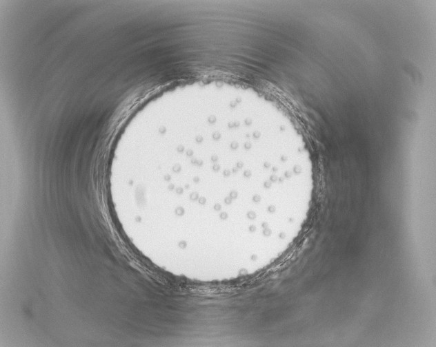 X0000114510241200911301154