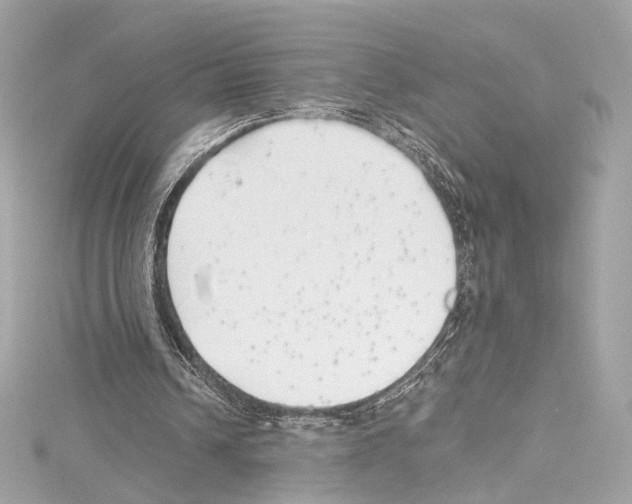 X0000114510242200911301154