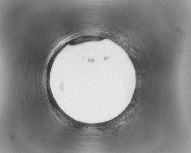 X0000114510244200911301154