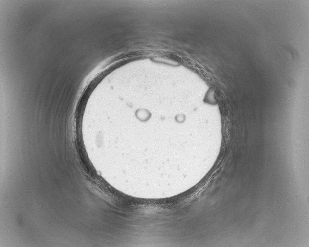 X0000114510246200911301154