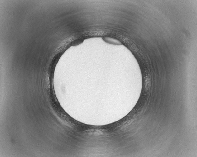 X0000114510254200911301154