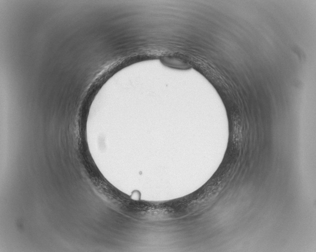 X0000114510256200911301154