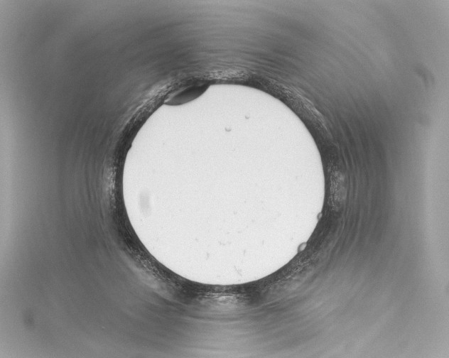 X0000114510260200911301154