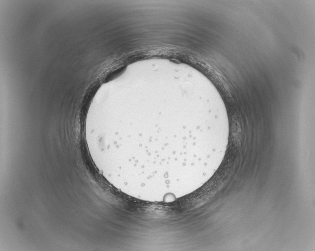 X0000114510261200911301154