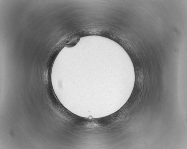 X0000114510262200911301154