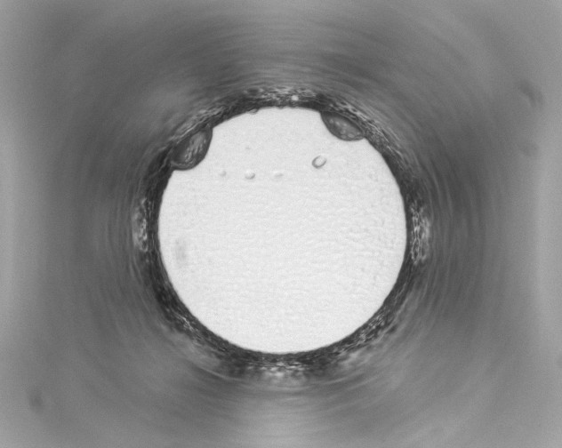 X0000114510268200911301154