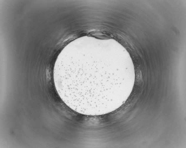 X0000114510282200911301154