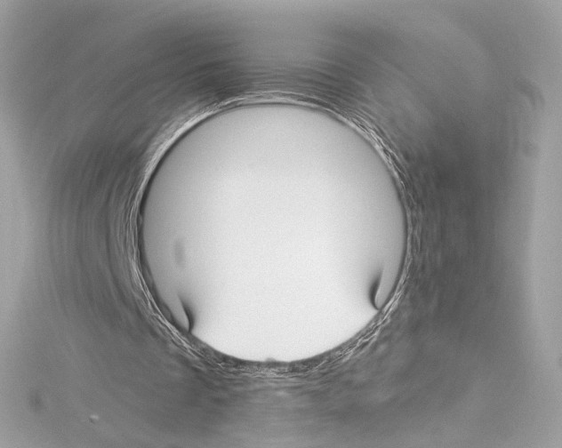 X0000114510289200911301154