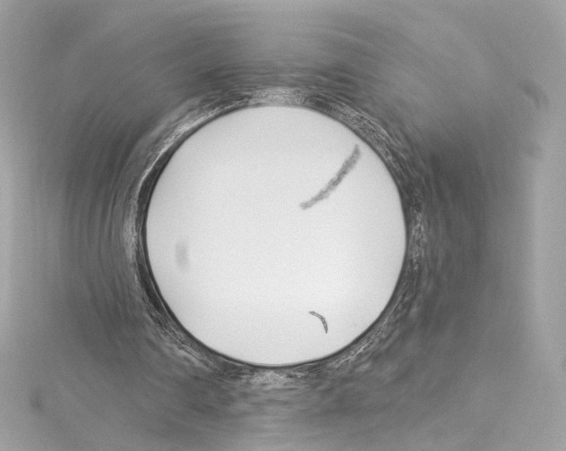 X0000114510290200911301154