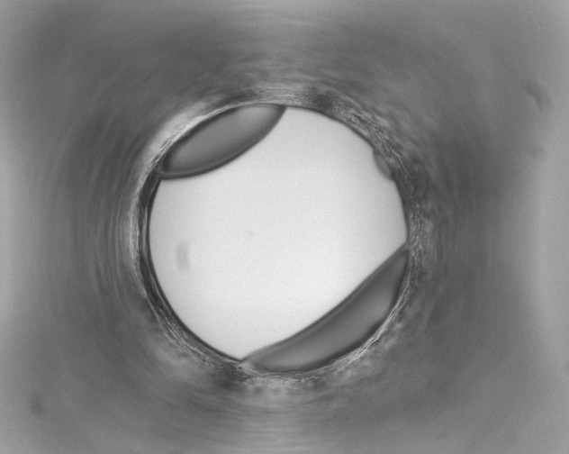 X0000114510294200911301154