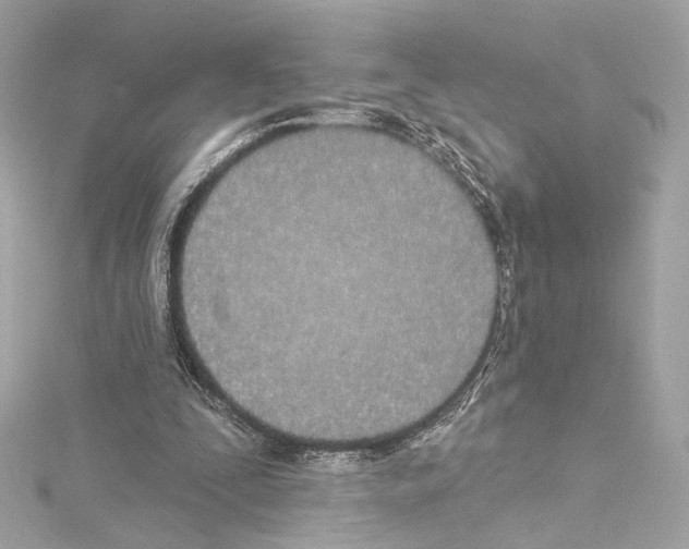 X0000114510295200911301154