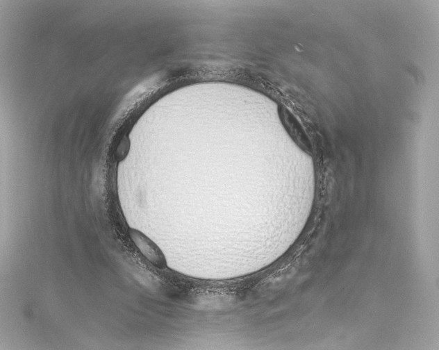 X0000114510296200911301154