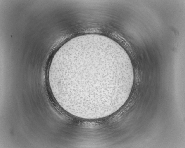 X0000114510298200911301154