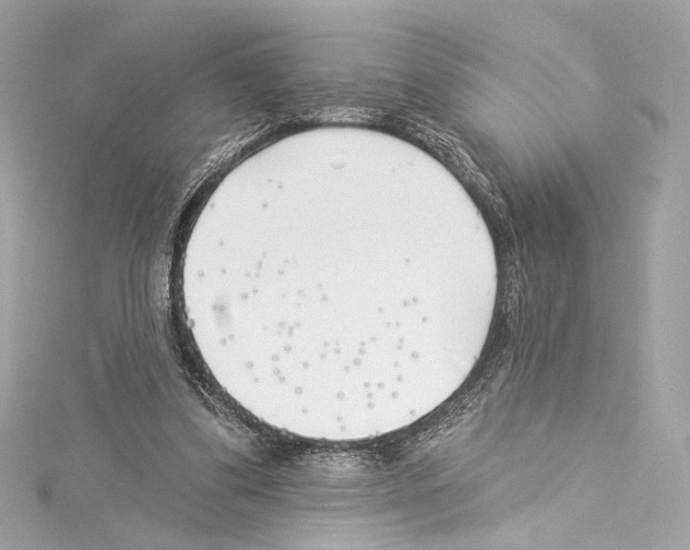 X0000114510299200911301154