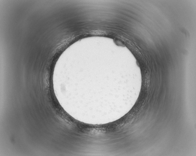 X0000114510303200911301154