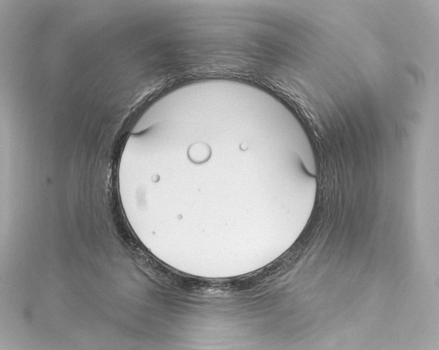 X0000114510308200911301154