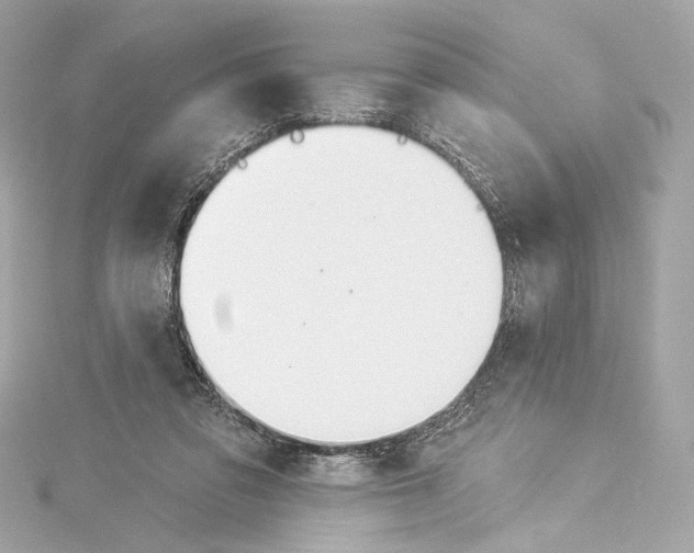 X0000114510309200911301154