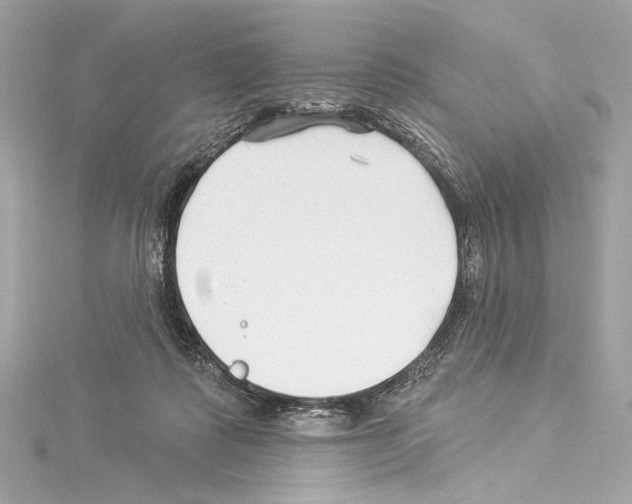 X0000114510315200911301154