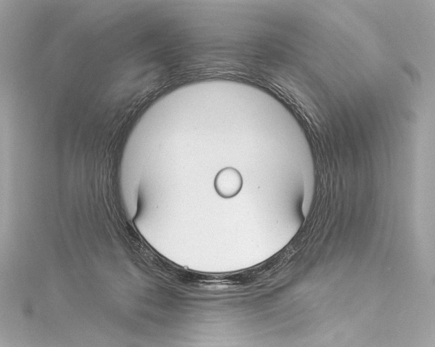 X0000114510316200911301154