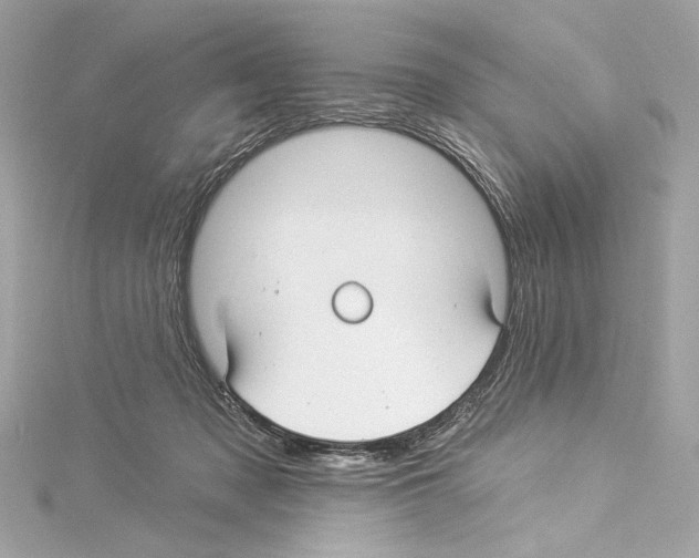 X0000114510317200911301154