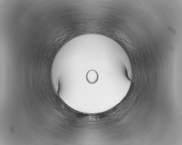 X0000114510320200911301153