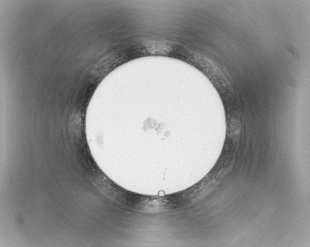 X0000114510321200911301153