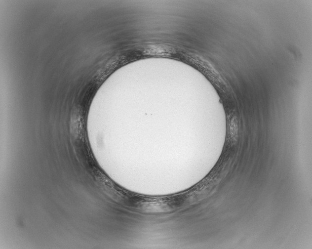 X0000114510322200911301153