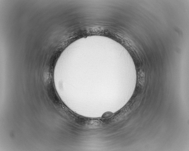 X0000114510324200911301153