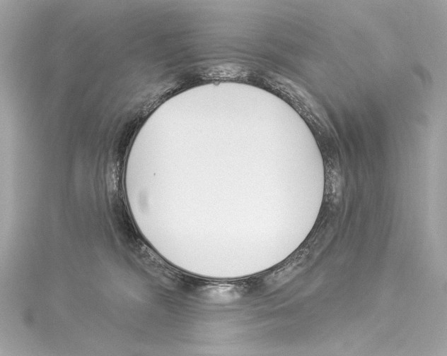 X0000114510326200911301153