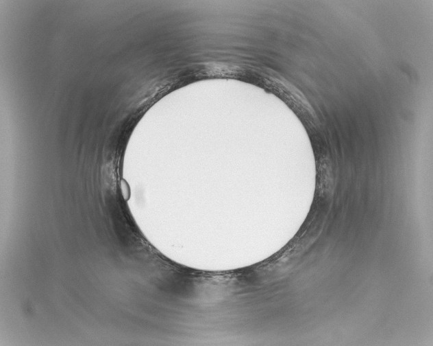 X0000114510329200911301153