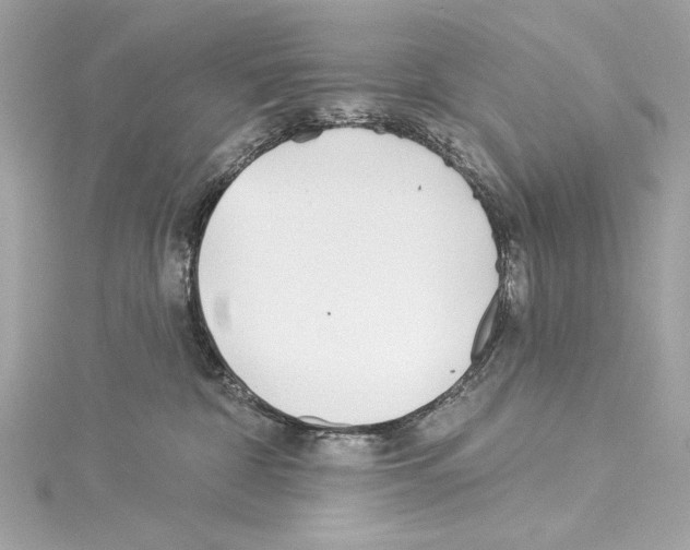 X0000114510332200911301153