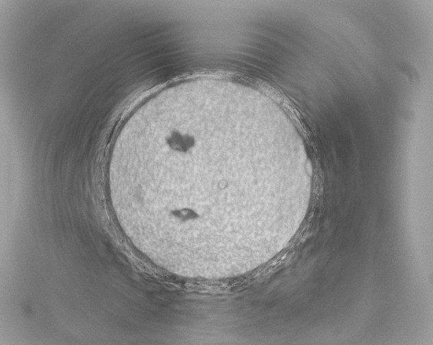 X0000114510337200911301153