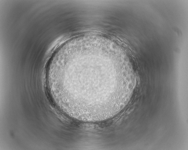 X0000114510339200911301153