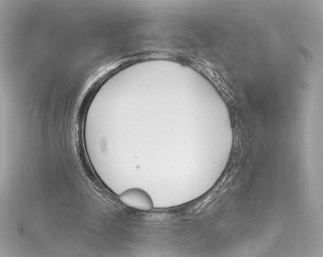 X0000114510342200911301153