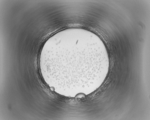 X0000114510345200911301153