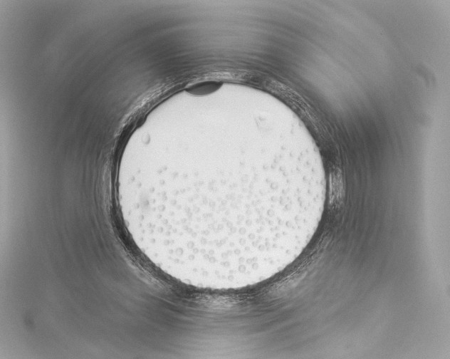 X0000114510349200911301153