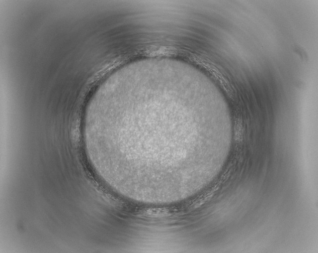 X0000114510353200911301153