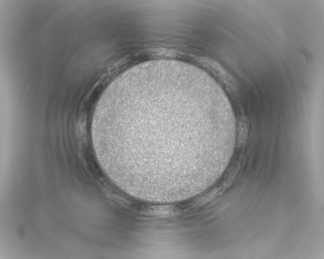 X0000114510377200911301153