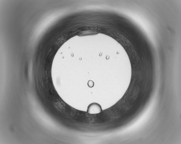 X0000114510382200911301153