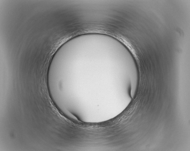 X0000114510385200911301153