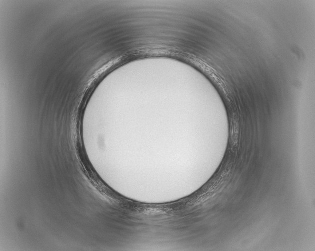 X0000114510390200911301153