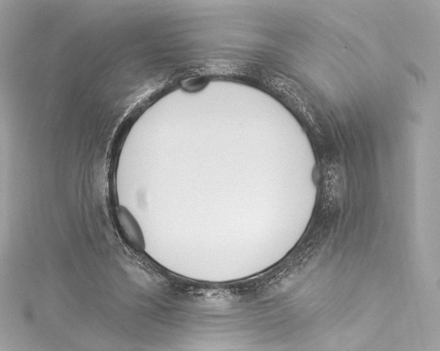 X0000114510395200911301153